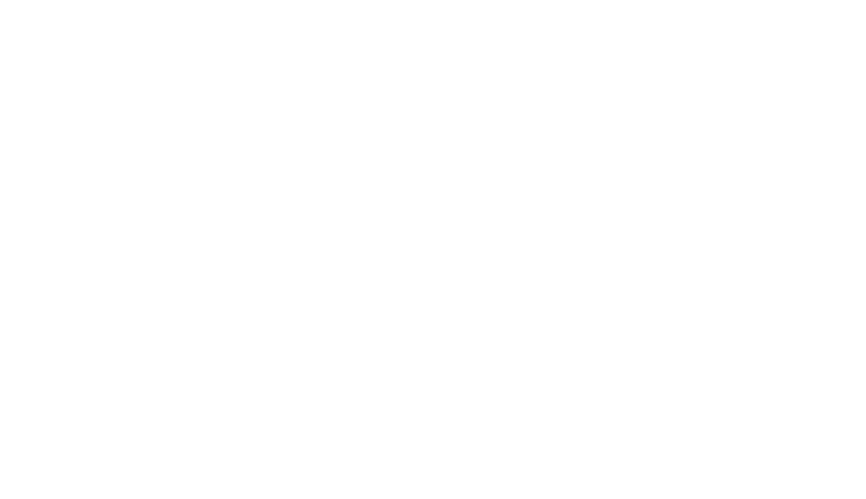 Peson